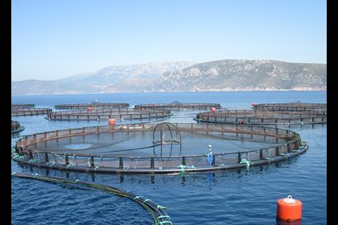Sagun’s bluefin tuna capacity is 1,000 tonnes per year